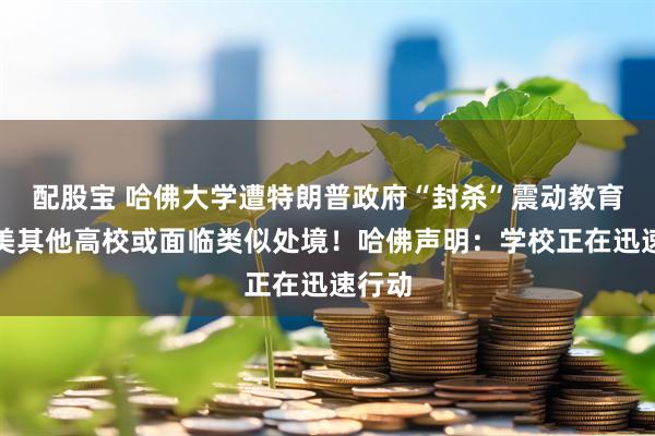 配股宝 哈佛大学遭特朗普政府“封杀”震动教育界！美其他高校或面临类似处境！哈佛声明：学校正在迅速行动