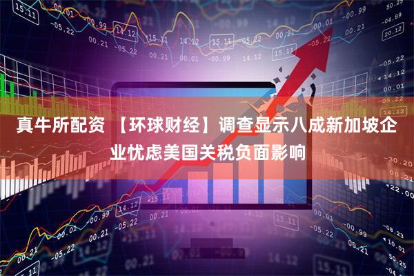 真牛所配资 【环球财经】调查显示八成新加坡企业忧虑美国关税负面影响