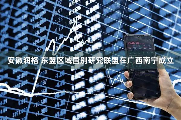 安徽润格 东盟区域国别研究联盟在广西南宁成立