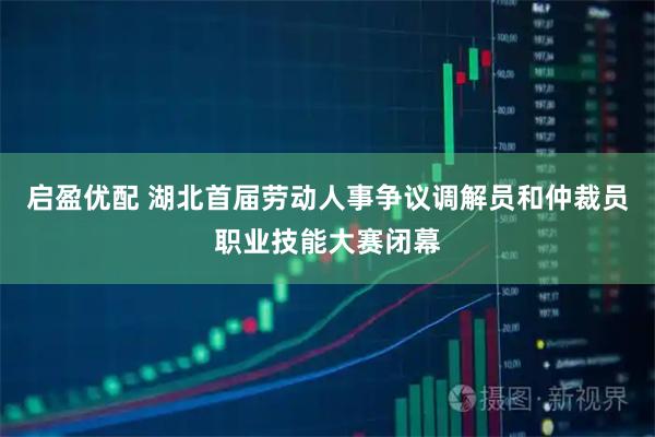 启盈优配 湖北首届劳动人事争议调解员和仲裁员职业技能大赛闭幕