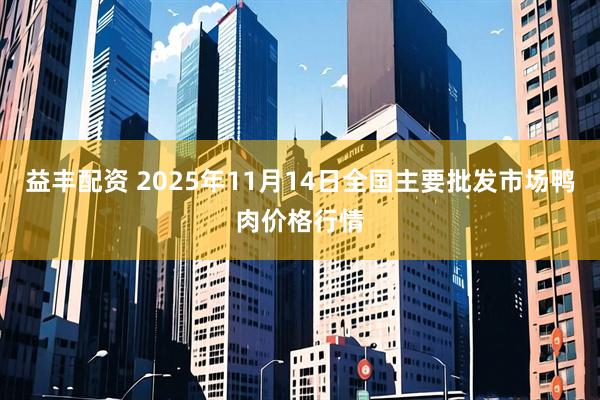 益丰配资 2025年11月14日全国主要批发市场鸭肉价格行情
