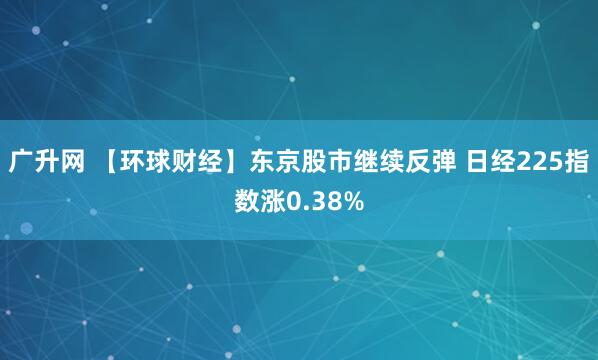 广升网 【环球财经】东京股市继续反弹 日经225指数涨0.38%